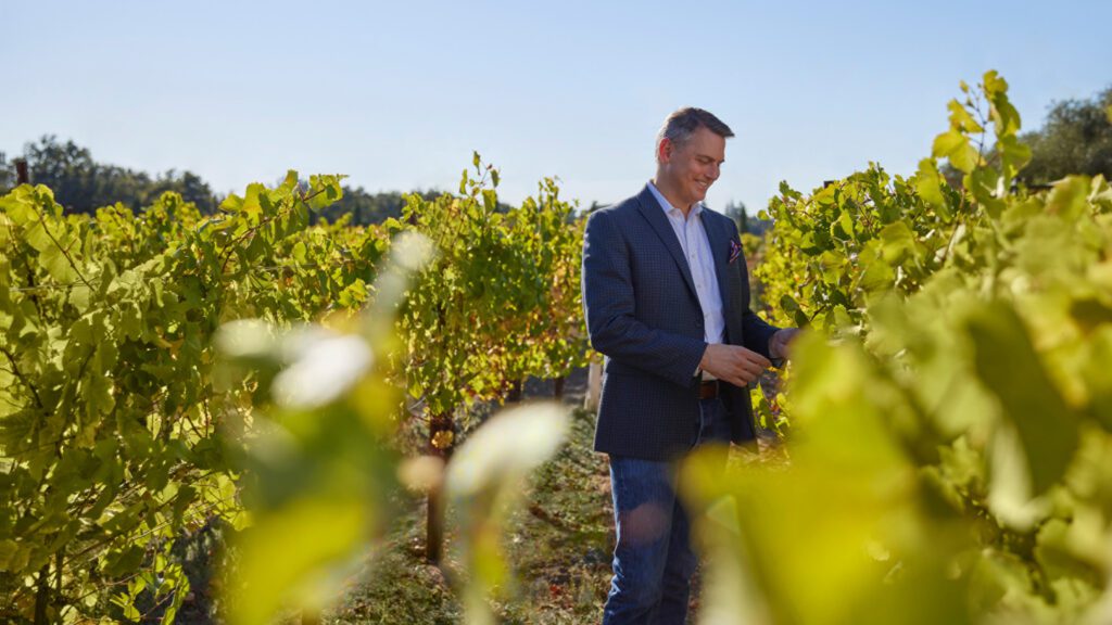 General Manager, Brian Sommer in the vineyards at Vintners Resort picking grapes during Harvest Season.